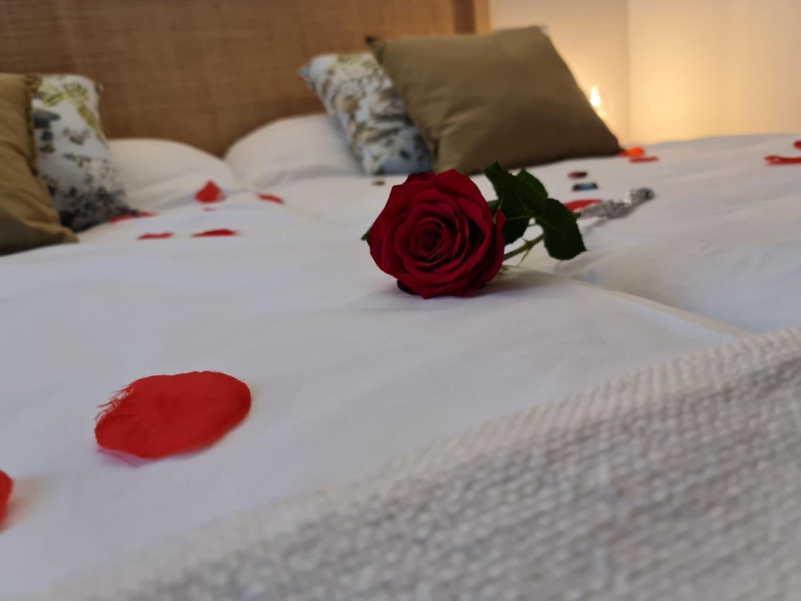 Serranillos Hotel Camino De Las Estrellas מראה חיצוני תמונה